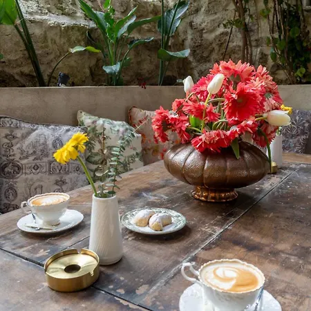 民宿 Mediha Hanim Konagi Alacati